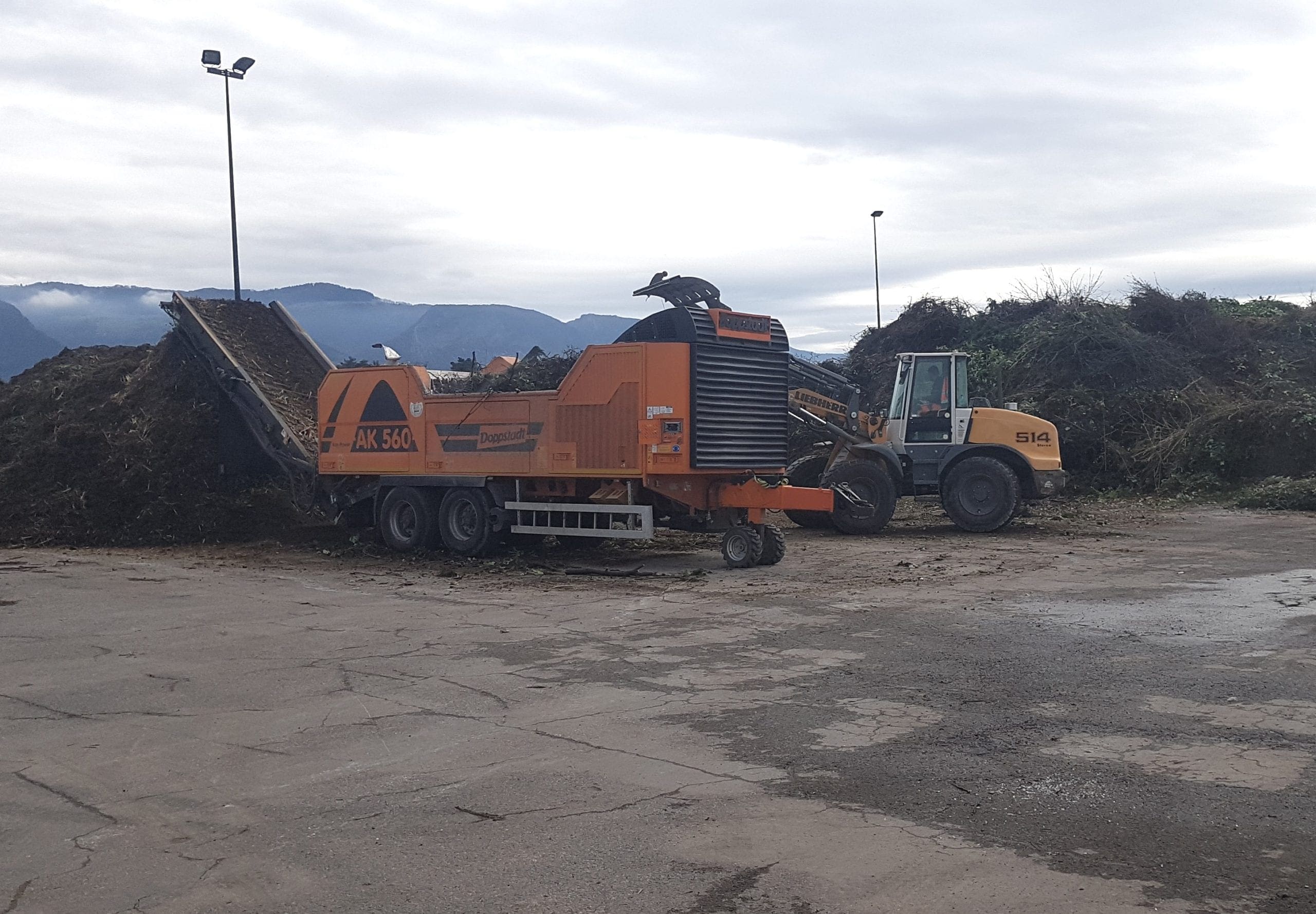 Broyage déchets verts