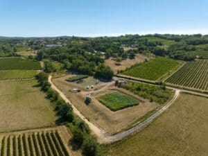 Chantier de curage de filtres plantés de roseaux