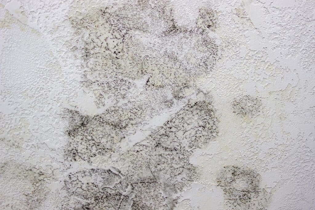 Moisissure sol fuite carrelage